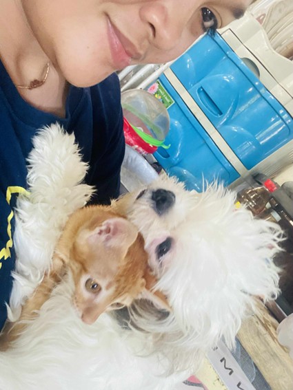 The Day After the Super Typhoon